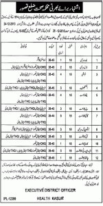 Neurosurgeon, General Surgeon, Physician, Anesthetist, Pathologist, Radiologist, Gynecologist, Orthopaedic Surgeon, Eye Specialist, Cardiologist, ENT Specialist, Children Specialist Jobs in Health Department Kasur