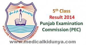 Punjab Examination Commission PEC Board Grade 5 Class 5 Grade V Class V Result 2014