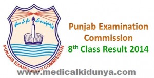 Punjab Examination Commission PEC Lahore Board Grade 8 Class 8 Grade VIII Class VIII Result 2014