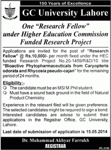 Paid Research Fellowship at GC University Lahore