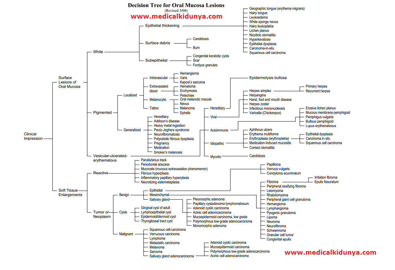 Decision Tree for Oral Mucosa Lesions 1 tree