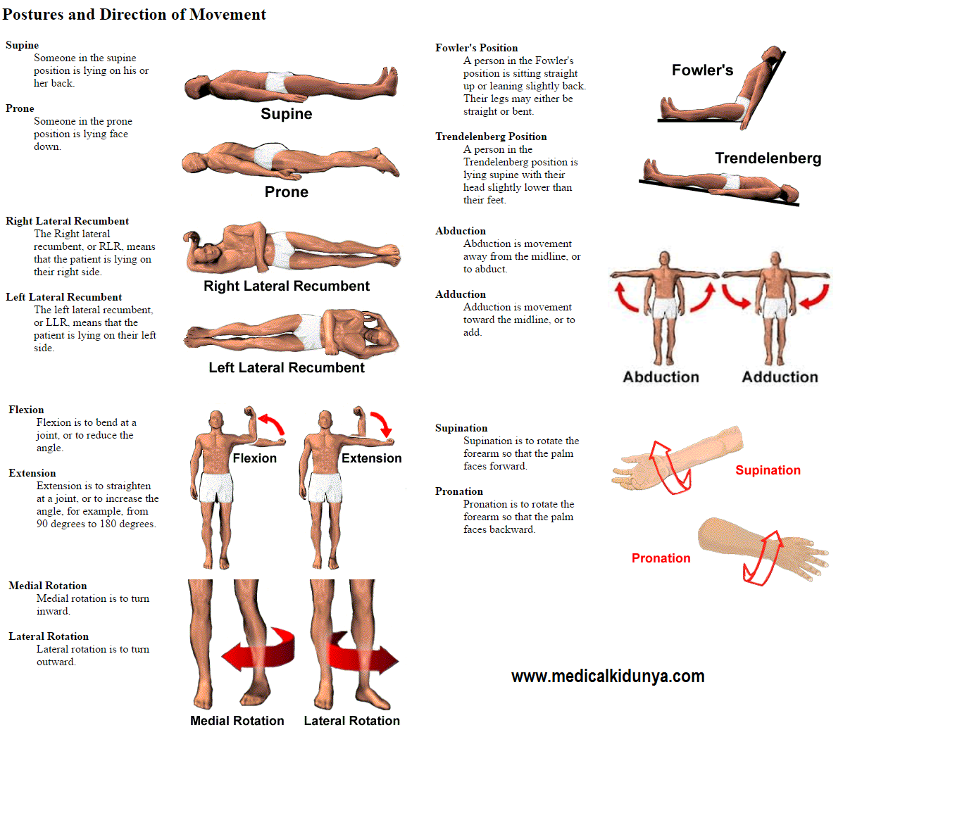 positions