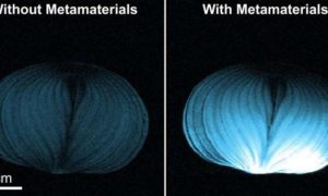 ‘Quantum leap’: Researchers develop ‘intelligent’ new material for quicker, cheaper MRIs