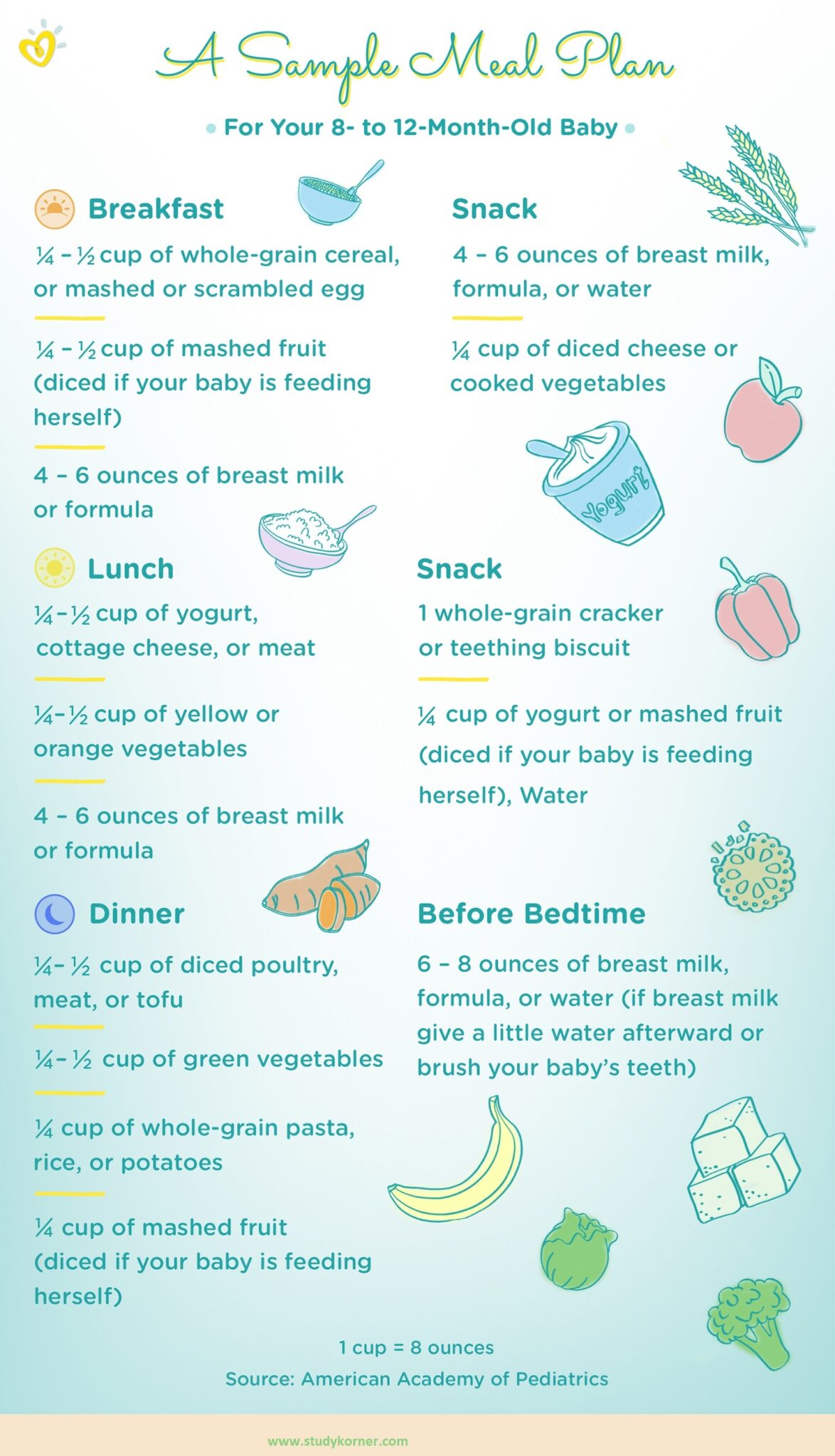 Feeding your 8 Month Old Baby Illustration Chart medicalkidunya