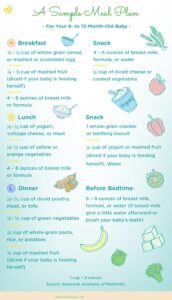 Feeding your 8 Month Old Baby Illustration Chart
