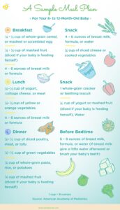 Feeding your 8 Month Old Baby Illustration Chart