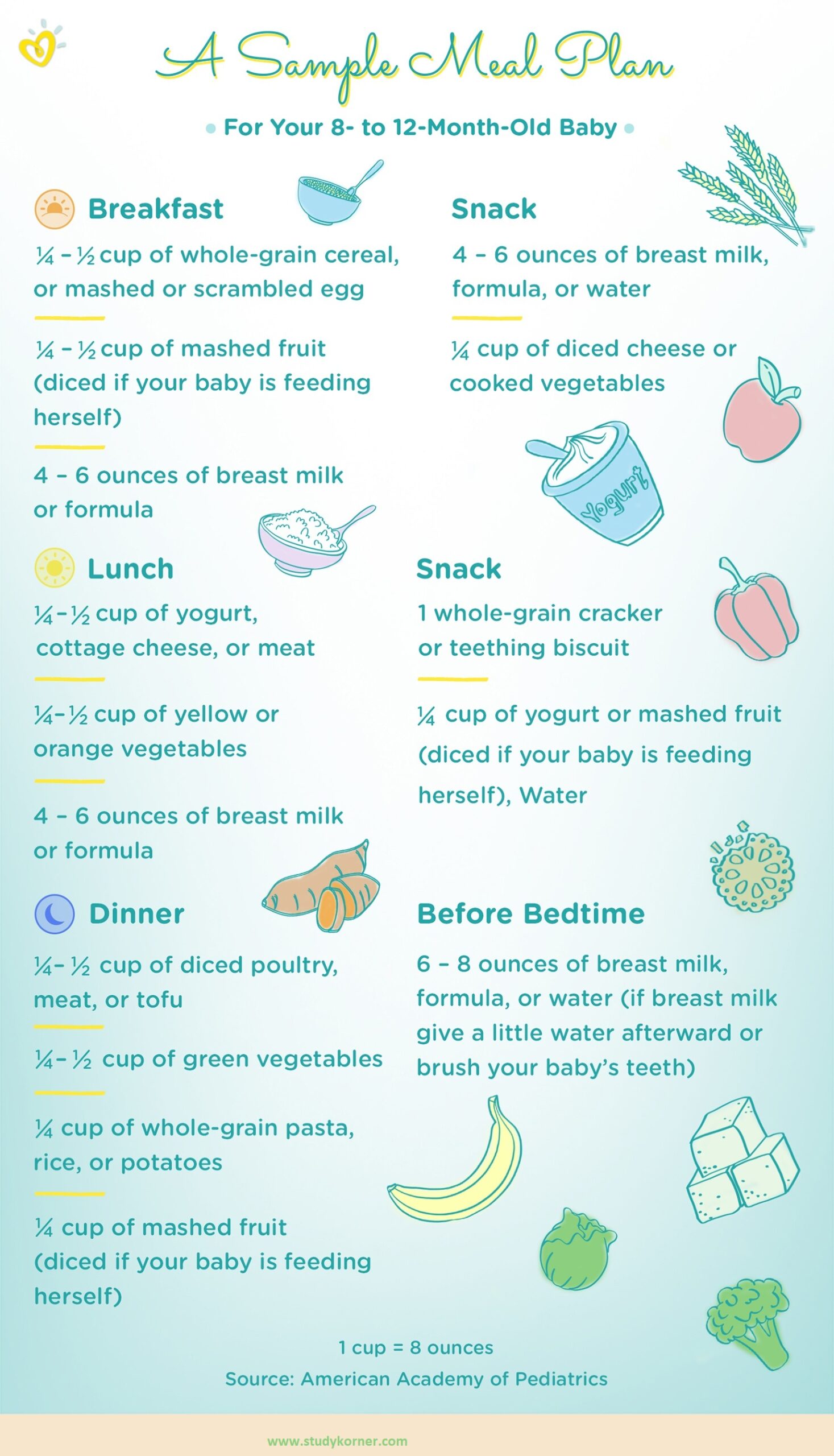 Feeding your 8 Month Old Baby Illustration Chart