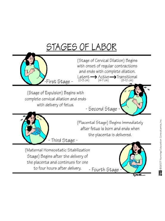 4 Stages of Labor and Delivery
