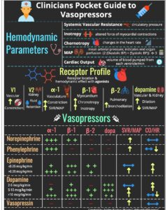 NCLEX Pharmacology Vasopressors and Inotropes Cheat Sheet