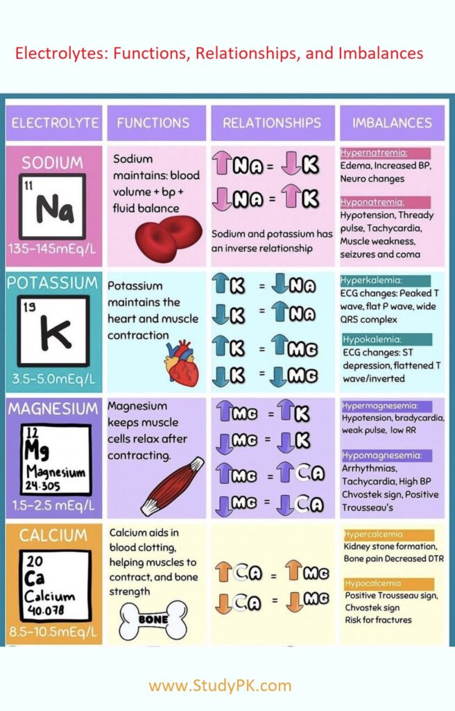 Electrolytes Functions Relationships and Imbalances