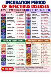 A color-coded medical reference table showing the time from exposure to symptoms for common bacterial, viral, fungal, and parasitic diseases, including incubation ranges for COVID-19, Influenza, and Typhoid fever.