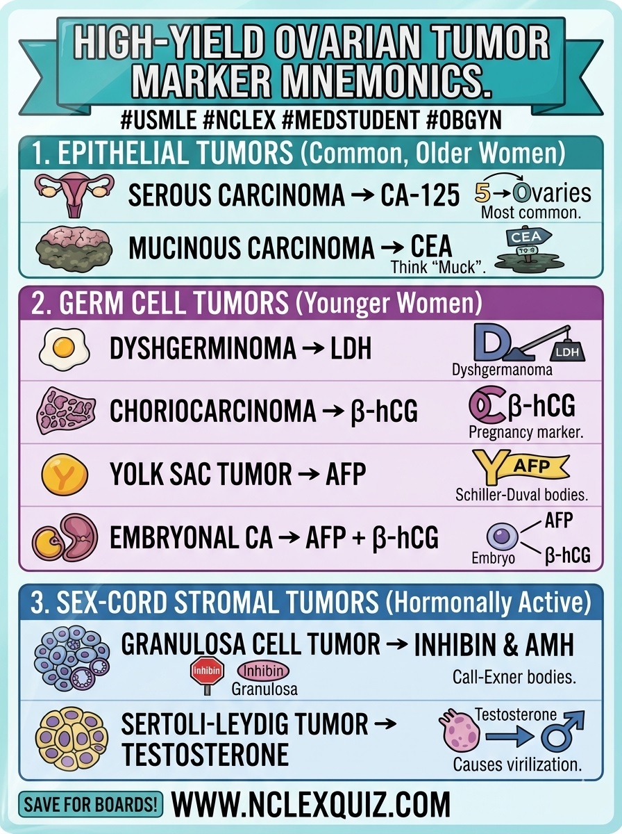 Ovarian Tumor Marker Mnemonics for USMLE & Medical Exams 1 Ovarian Tumor Marker Mnemonics for USMLE & Medical Exams 1